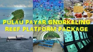 pulau payar snorkeling reef platform
