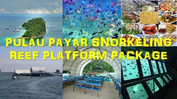 pulau payar snorkeling reef platform