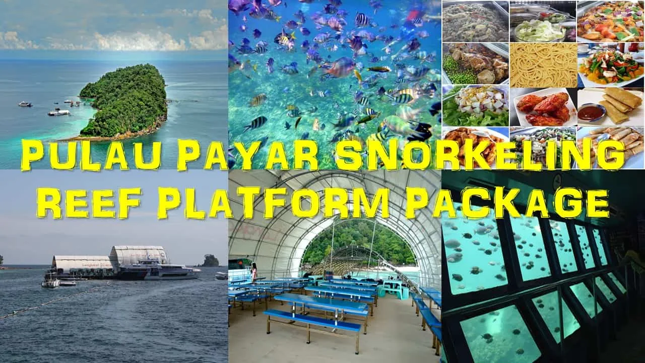 pulau payar snorkeling reef platform