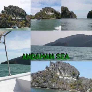 Langkawi mangrove tour