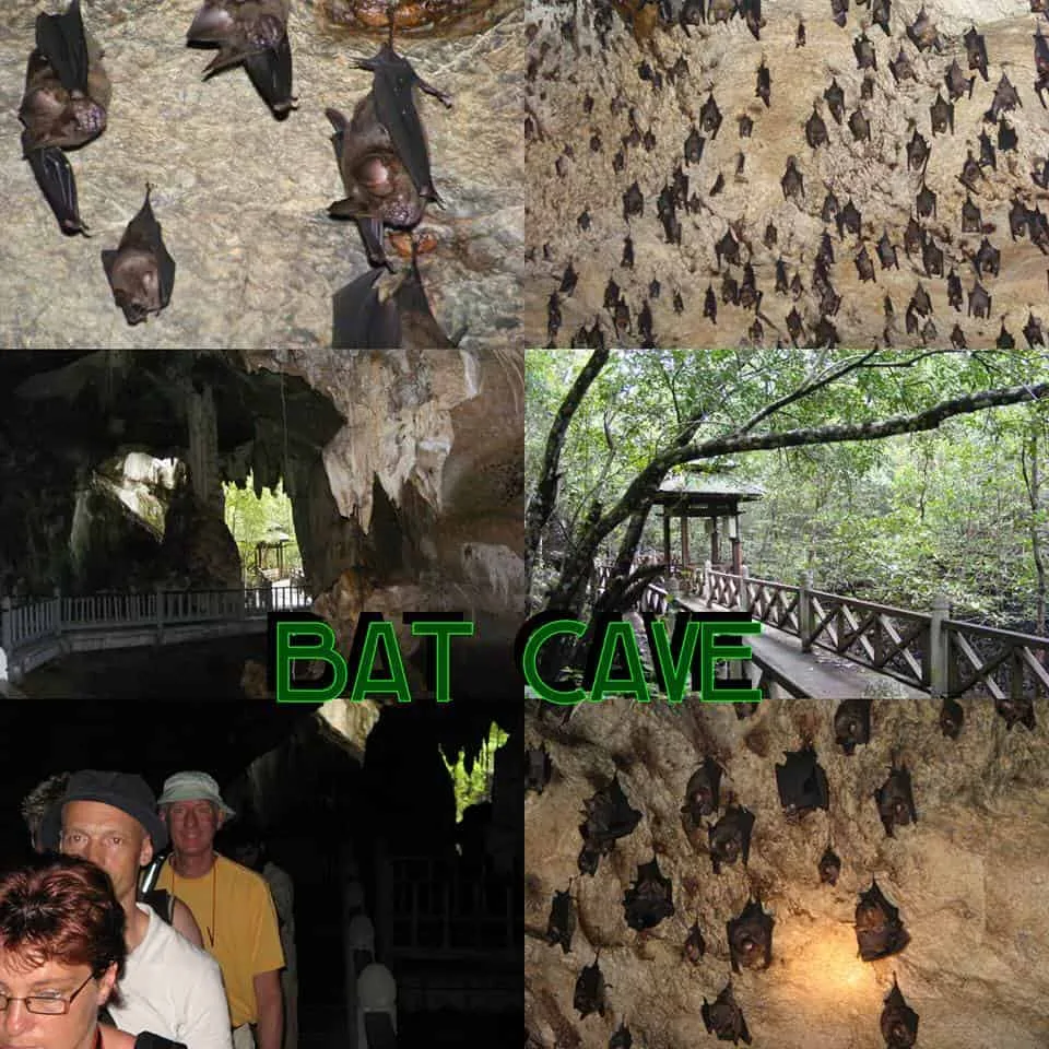 Langkawi Mangrove Tour (Private Tour) - Image 7