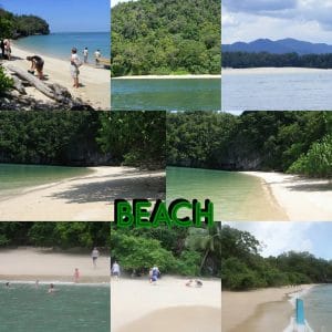 langkawi mangrove tourbeach