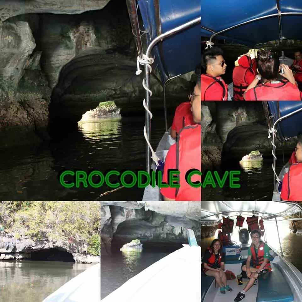Langkawi Mangrove Tour (Private Tour) - Image 6