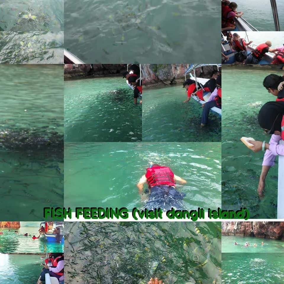 dangli-island-fish-feeding