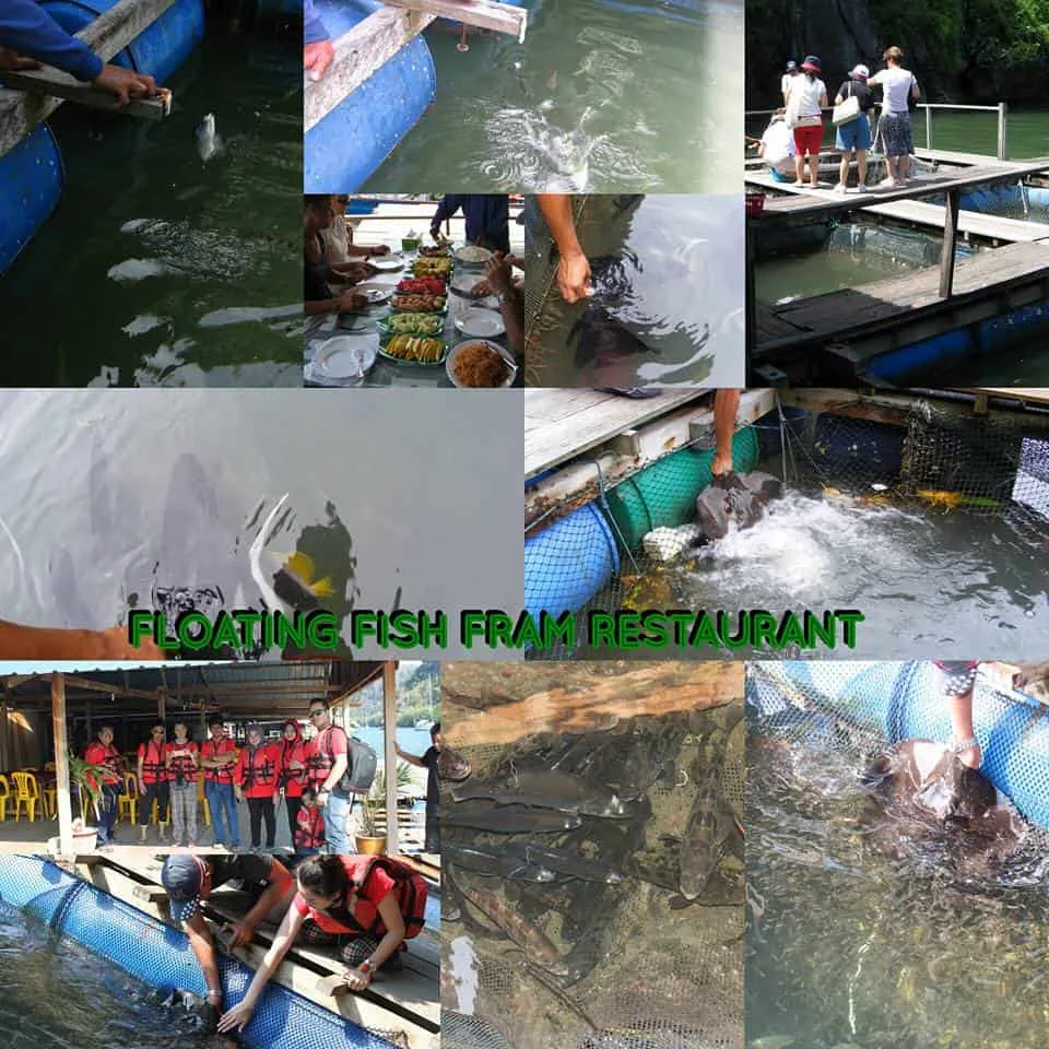 floating-fish-farm