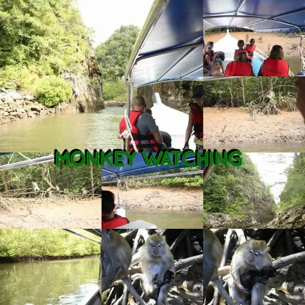 monkey-watching