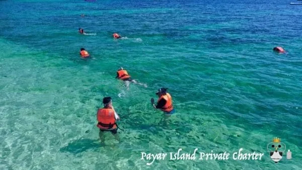 Private Pulau Payar Snorkeling - Image 7