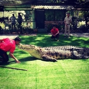 langkawi crocodile farm