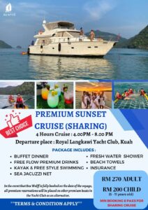 avante premium cruise