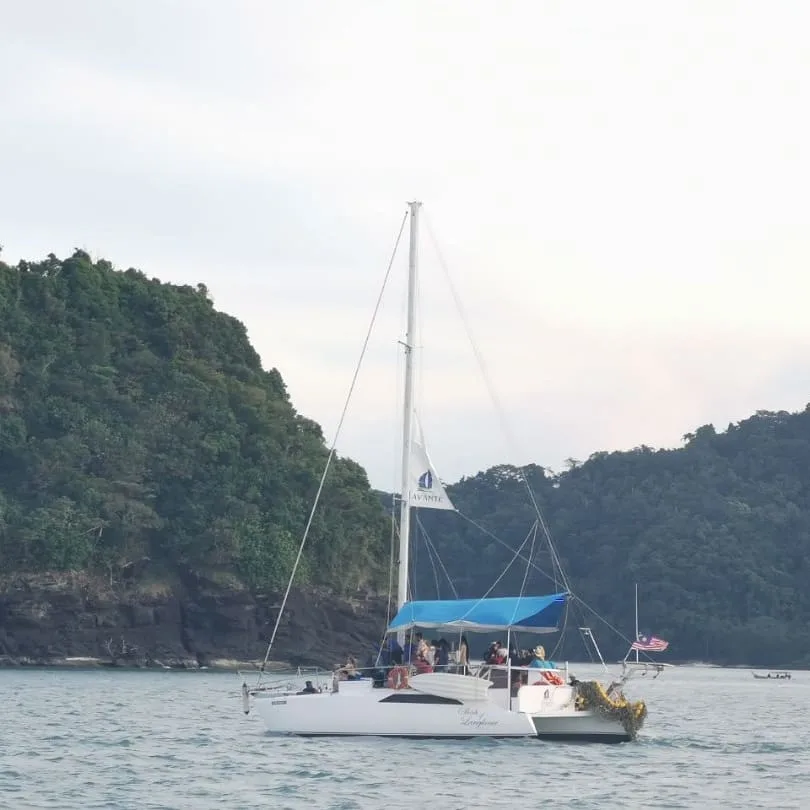 avante yacht charters
