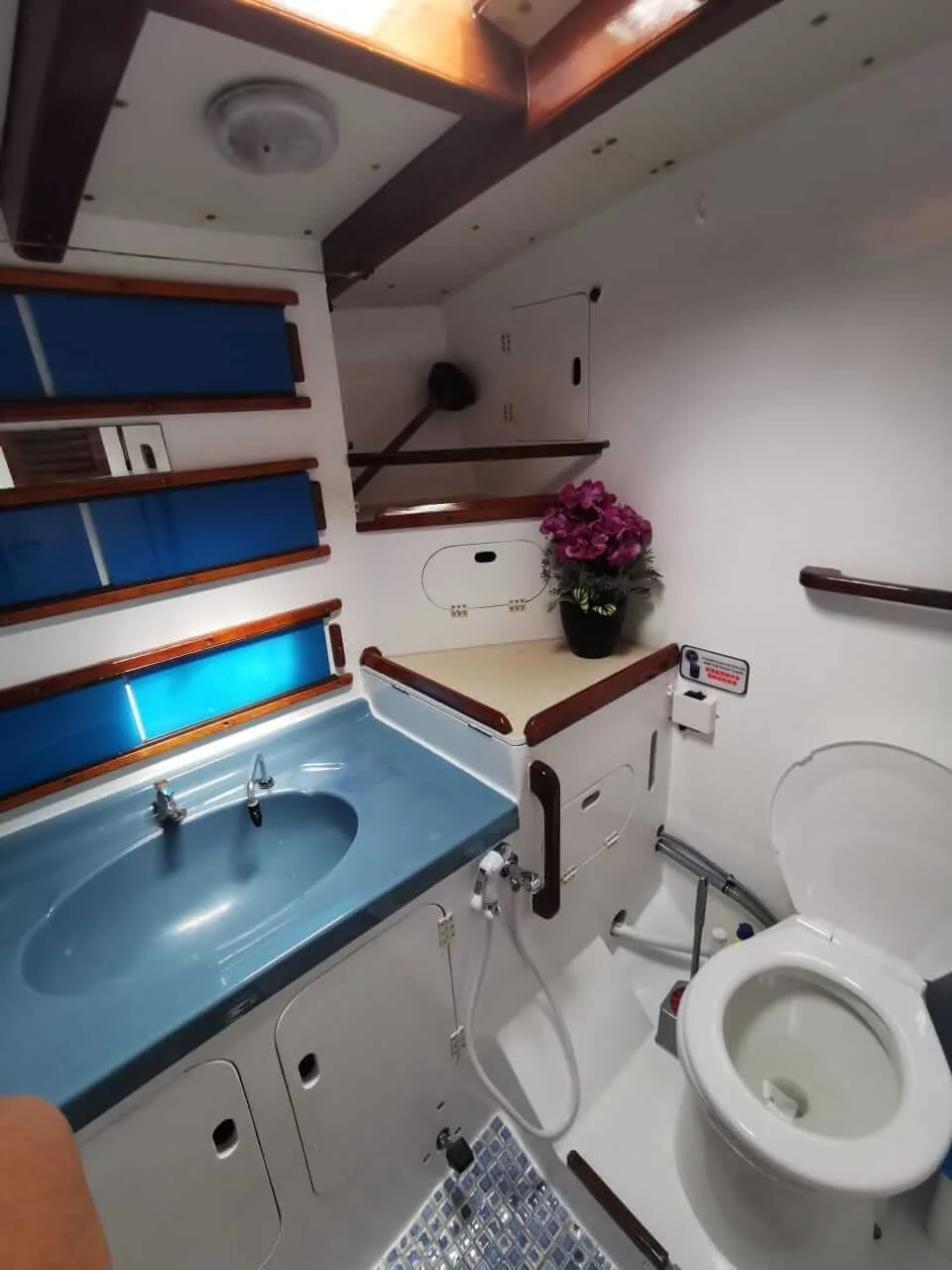 serena toilet