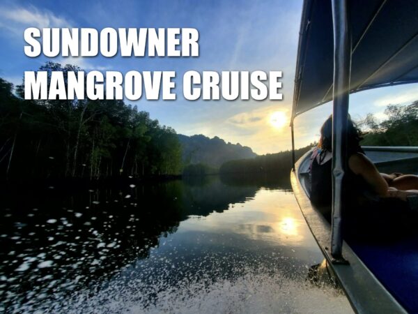 Sundowner Mangrove Cruise