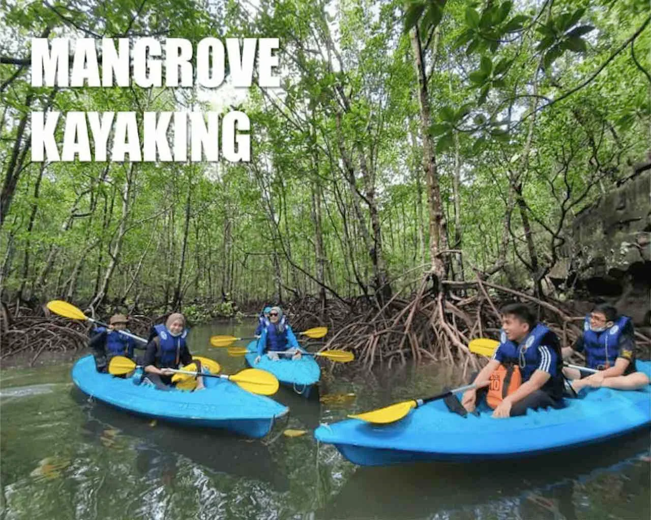 mangrove-kayak-langkawi